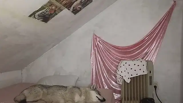 Snapshot of MAMA69LAMA chatting on 03-09-26, 07:40 MAMA69LAMA online show from 03-09-26, 07:40