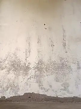 Yasha 14C Creator online show from 11-08-25, 07:19