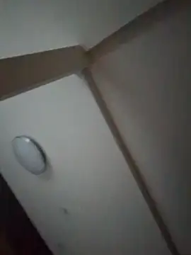 pnp0Japan online show from 02-27-25, 08:50