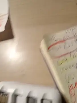 Snapshot of NochnoyGest chatting on 11-13-25, 11:03 NochnoyGest online show from 11-13-25, 11:03