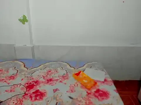 Dana Jeins online show from 02-11-25, 01:20