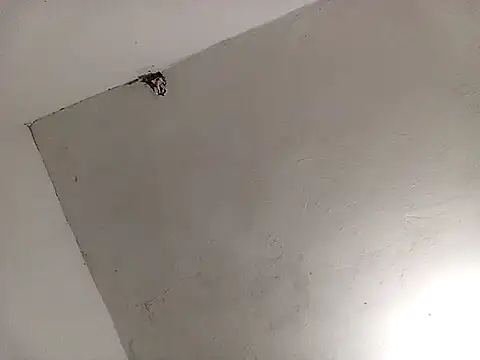 Snapshot of Surreyaa chatting on 02-13-25, 03:39 Surreyaa online show from 02-13-25, 03:39