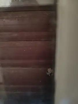 hardgetsex online show from 10-04-25, 04:05