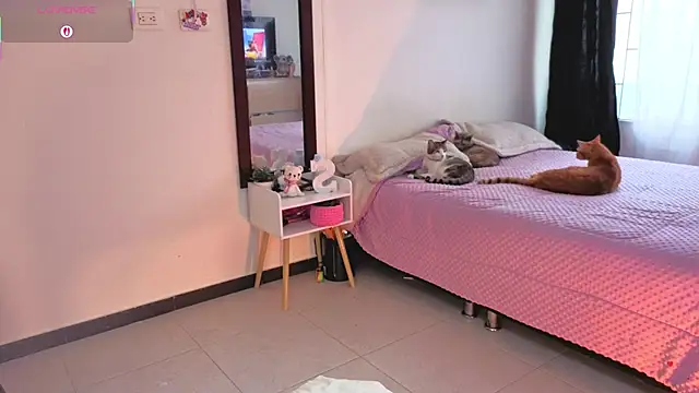 serenna se online show from 03-31-26, 08:31