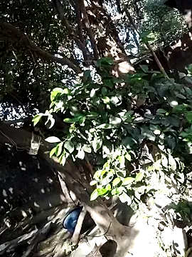 Hot-rubina online show from 03-06-25, 03:57