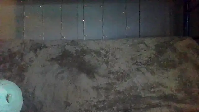 Snapshot of velvetta_ chatting on 04-09-26, 06:24 velvetta online show from 04-09-26, 06:24