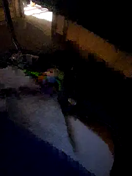 Snapshot of daddysmalldick502 chatting on 11-04-25, 06:40 daddysmalldick502 online show from 11-04-25, 06:40