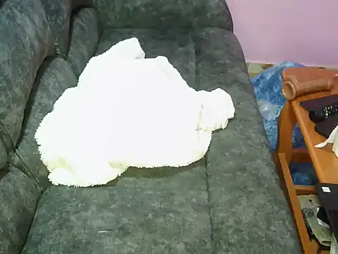 petitev online show from 11-04-25, 09:41