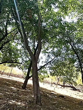 Liancy online show from 10-09-25, 06:50