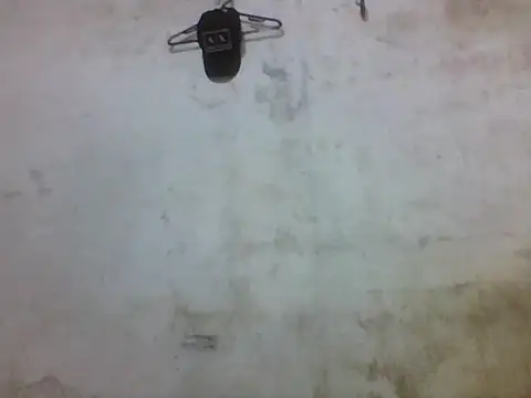 Snapshot of Leopardogonza chatting on 10-20-25, 11:38 Leopardogonza online show from 10-20-25, 11:38