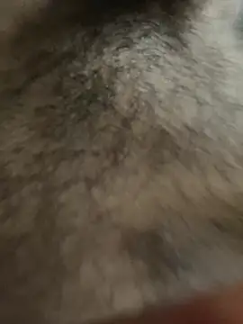 Snapshot of legendcock123 chatting on 02-18-26, 11:17 legendcock123 online show from 02-18-26, 11:17