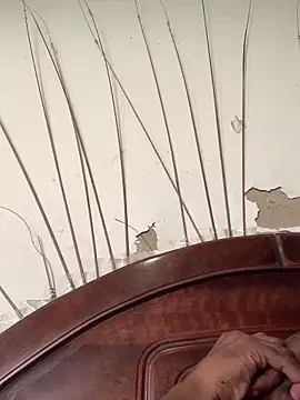 DManL online show from 04-15-26, 06:20