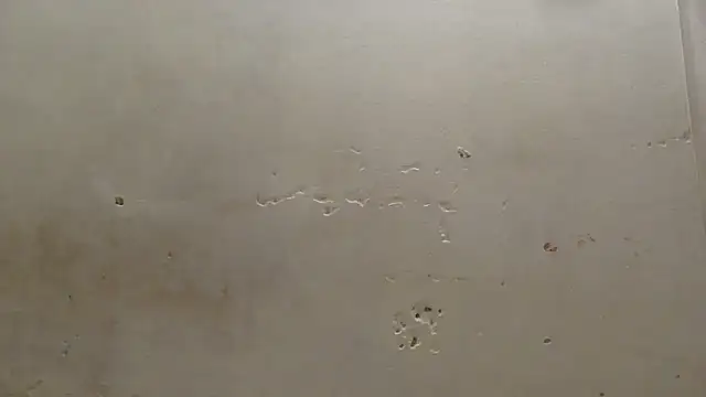 Snapshot of curvysexybody chatting on 01-16-26, 09:41 curvysexybody online show from 01-16-26, 09:41