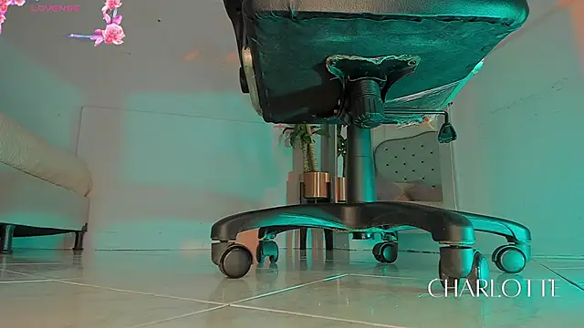 charlotte  grey online show from 11-28-25, 08:22