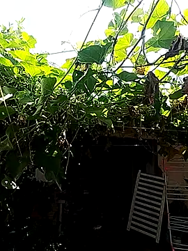 Putaepirocudo online show from 04-14-26, 12:55