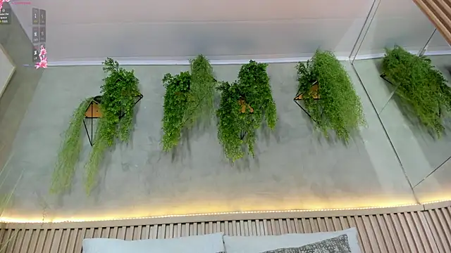 Lana Lann online show from 02-05-25, 12:38