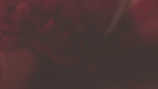 oxiris 1 online show from 01-16-25, 01:48