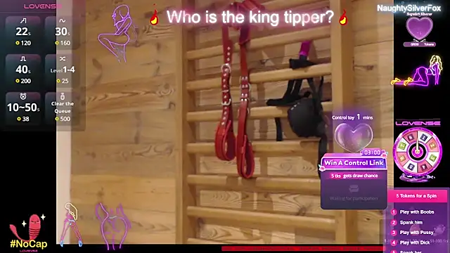 Snapshot of NaughtySilverFox chatting on 02-10-25, 02:16 NaughtySilverFox online show from 02-10-25, 02:16