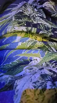 Snapshot of McdyllanXX chatting on 02-13-25, 12:24 McdyllanXX online show from 02-13-25, 12:24