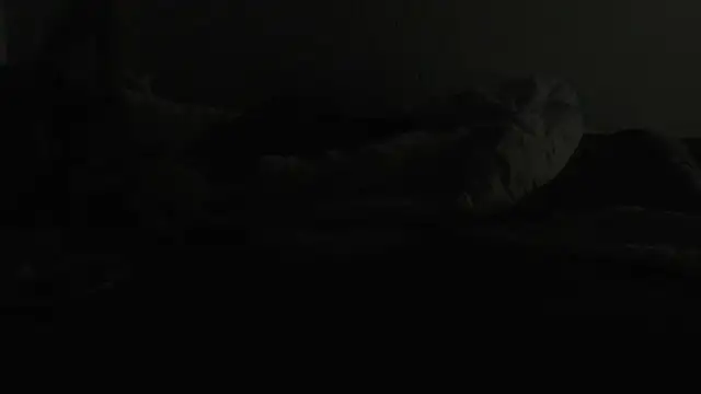 Snapshot of flexingplexico chatting on 01-06-25, 07:13 flexingplexico online show from 01-06-25, 07:13