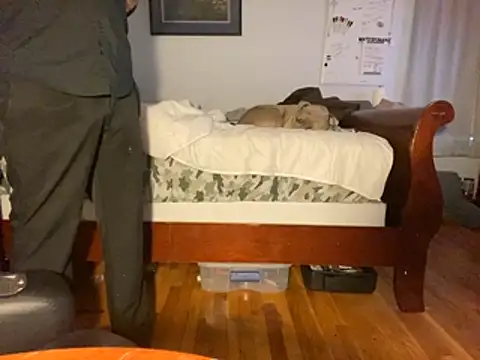 Snapshot of flexingplexico chatting on 01-14-26, 01:06 flexingplexico online show from 01-14-26, 01:06