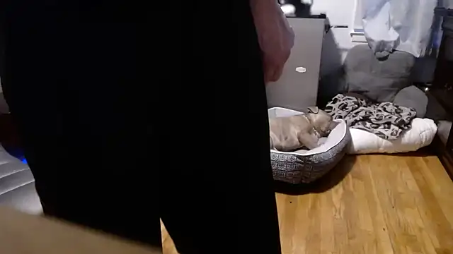 Snapshot of flexingplexico chatting on 02-16-26, 10:50 flexingplexico online show from 02-16-26, 10:50