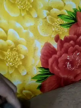 Snapshot of MALLUSING555 chatting on 12-23-25, 04:43 MALLUSING555 online show from 12-23-25, 04:43