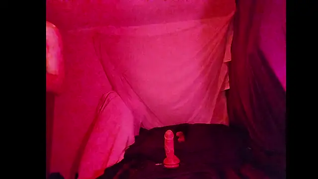 BushBator online show from 03-01-26, 07:54