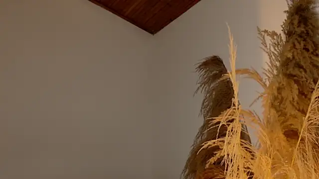 Snapshot of SaraFerreira chatting on 12-12-24, 11:47 SaraFerreira online show from 12-12-24, 11:47