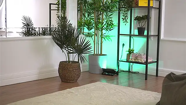 Cherrysweett online show from 03-06-26, 05:48