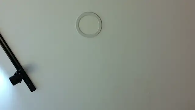 Snapshot of _BellaDonna_ chatting on 03-06-25, 11:53 BellaDonna online show from 03-06-25, 11:53