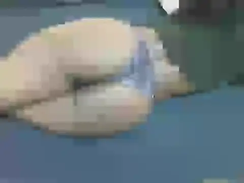 lella-0 online show from 10-16-25, 09:38