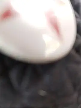 taaylor33 online show from 02-27-26, 08:20