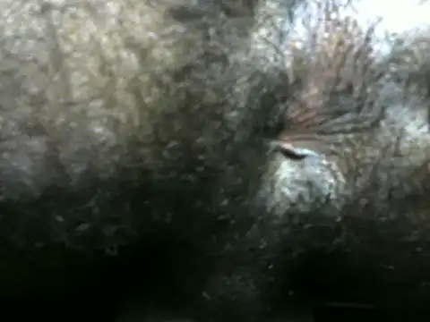 michel sc online show from 12-09-24, 04:12