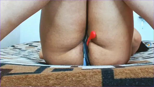 Geisha Seniers online show from 03-11-26, 12:55