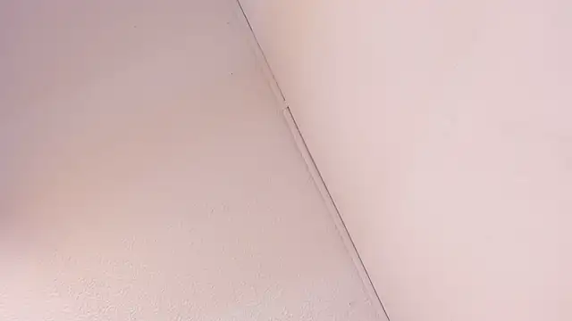 Black Rose2 online show from 03-01-26, 11:45