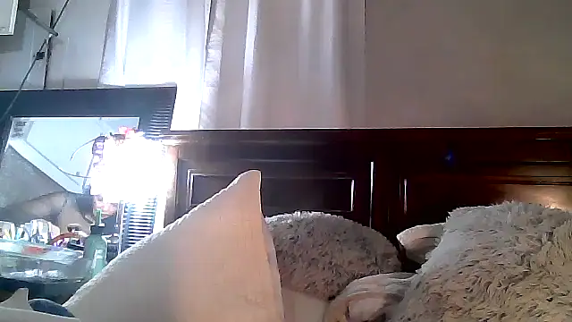 Snapshot of paiday chatting on 12-04-24, 12:08 paiday online show from 12-04-24, 12:08