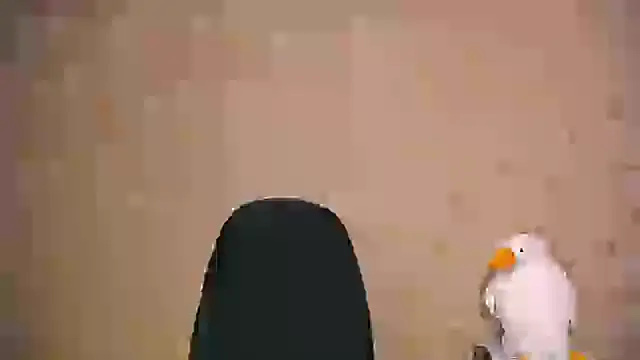 Snapshot of _your_fantasy_girl chatting on 02-21-25, 01:00 your fantasy girl online show from 02-21-25, 01:00