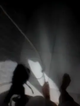 betinhodelas online show from 11-30-25, 05:11