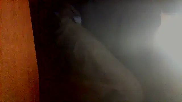 Snapshot of nice6incs chatting on 11-05-25, 11:05 nice6incs online show from 11-05-25, 11:05