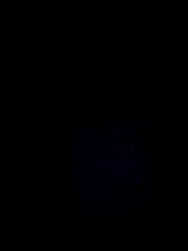 StaciGoodman online show from 12-29-24, 03:11