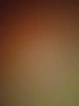 Snapshot of mendelicius chatting on 02-27-25, 06:09 mendelicius online show from 02-27-25, 06:09