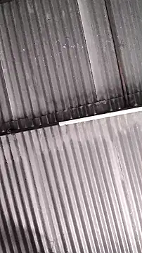 Snapshot of mendelicius chatting on 02-11-26, 01:27 mendelicius online show from 02-11-26, 01:27