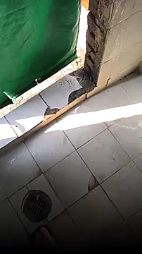 Snapshot of mendelicius chatting on 02-15-26, 02:25 mendelicius online show from 02-15-26, 02:25