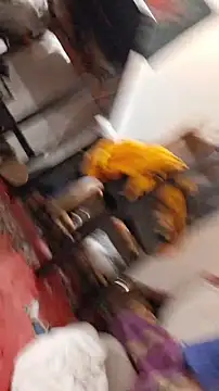 emma neko online show from 11-22-25, 06:40