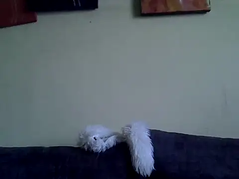 Snapshot of Delicious-D chatting on 02-10-26, 04:49 Delicious-D online show from 02-10-26, 04:49