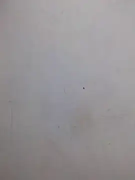 AmnionicDemeanor online show from 10-31-25, 04:24