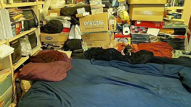 hadeszeuss2 online show from 04-29-26, 05:30