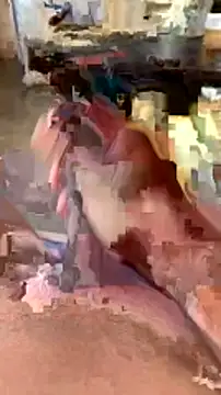 Snapshot of elber-gdo chatting on 02-05-25, 10:55 elber-gdo online show from 02-05-25, 10:55