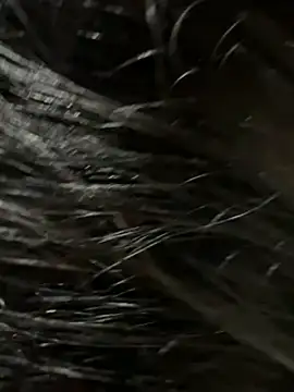 Snapshot of elber-gdo chatting on 02-09-25, 04:14 elber-gdo online show from 02-09-25, 04:14